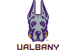 UAlbany logo